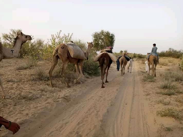 Winter coat distribution and community warmth program